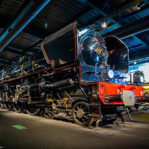 Appartements La cigogne d-Alsace 2 : photos des chambres