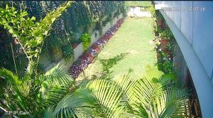 Camellia Heritage Homestay