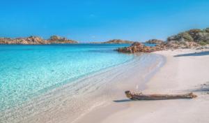 piccolo MarVel img28