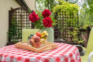 Apartament z tarasem w Willi Wieżyczki