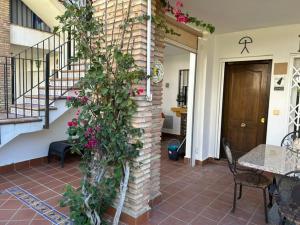 AL ANDALUS-THALASSA Premium