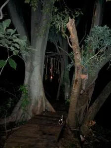 Klein Eden Forest - Ledig