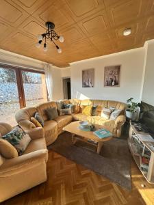 Appartements Grand appartement au coeur de la region alsacienne : photos des chambres