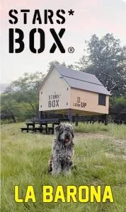 Stars box - Roccabruna