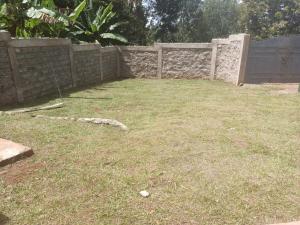 The Forest Villa, Kirimiri Hill, Runyenjes, Embu