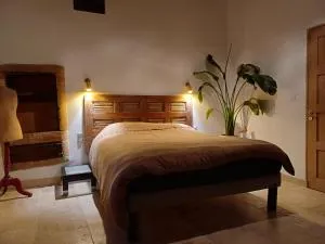 Maison médiévale Beaujolaise 17e siècle Authenticité Calme - Anse