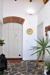 O Quintal - Barrancos