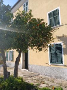 Casa Misha tra 5 Terre e Versilia