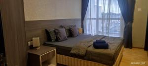 cozy comfortable apartment