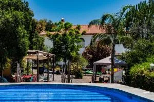 Nido Aguila Blanca - Monda