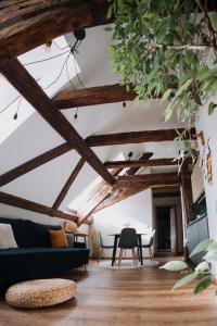 Mushrooms Malomszállás