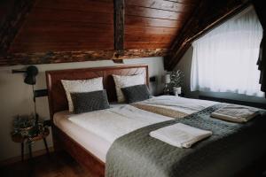 Mushrooms Malomszállás