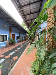 Derm Svay Guesthouse - yoga & cafe