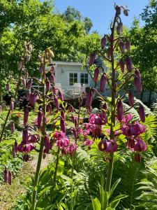 Beautiful traditional villa in central Hanko