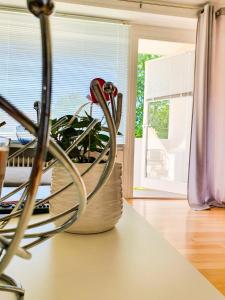 Enjoy the beauty of Überlingen