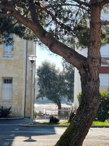 Appartements Studio pour 4 personnes a 100 m de la plage : photos des chambres