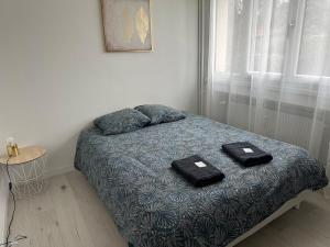 Appartements Appart proche gare et Auxerrexpo : Appartement 3 Chambres