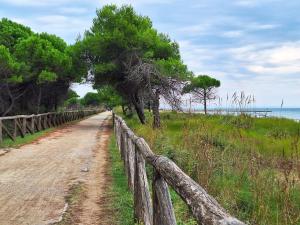 Bright flat close to Bibione promenade