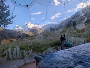 El Domo del Fundo Micaelita