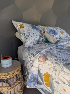 El Domo del Fundo Micaelita