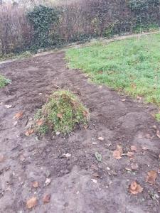 Le Coeur de Nos Racines