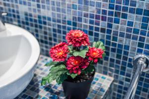 Milano Centro Duomo-Wifi-Metro