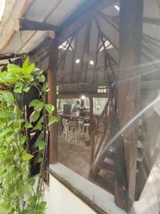 Blue Monkey Chemuyil