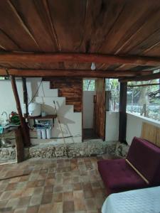 Blue Monkey Chemuyil