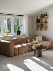 Apartment close to central city