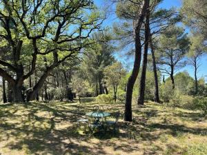 Gîte Sorgue - Exceptionnel 125 m2 Piscine Parking Jardin