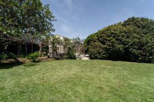 Casa da Luisinha - Country House - Country House