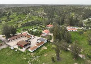 Monte Do Areeiro - Raposa