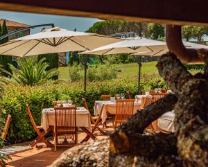 HOTIDAY Room Collection - Massa Alta