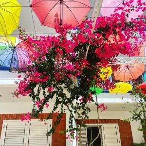 Grand Resort by Greccia Dhermi Prime