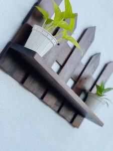 Dunitha Villa - Surrounded by Greenery