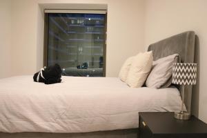 Luxury 2 Bed 2 Bath City Apartment