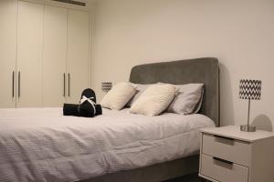 Luxury 2 Bed 2 Bath City Apartment