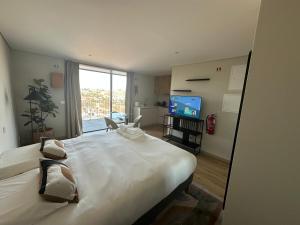 New Douro 908 with parking