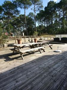 Appartements nid douillet au milieu des pins entre lac et ocean : photos des chambres