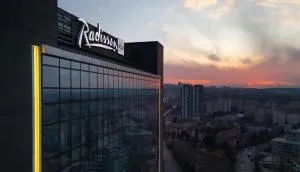 Radisson Blu Hotel Ankara Cankaya - 安卡拉