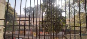 Shivalika Homestay