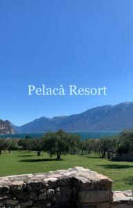 PELACA Resort