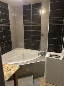 Appartements Les Berges du Thiou Annecy Lac : photos des chambres