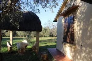 Cottage with a great fenced garden in the Tuscan countryside - Чечина