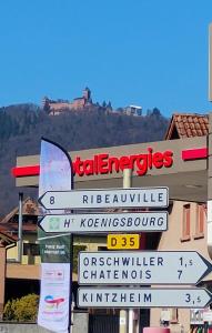 Appartements Gite Le Marronnier - au calme - parking & terrasse - pres de Colmar et Riquewihr - route des vins : photos des chambres