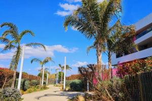 Appartements Beautiful T2 with pool - near beach : Appartement