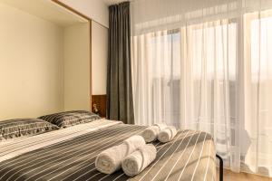 MoHost Luxury Landing Apartments Complex Qualis Brasov