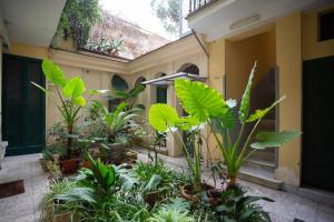 Da Cesare e Chloe al Colosseo