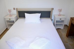 Nicolas House 2