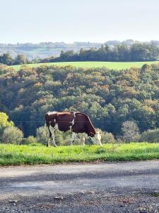 Maisons de vacances Maison tout pres d’Aurillac - Monts du Cantal : photos des chambres